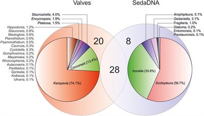 Compatibility of Diatom Valve Records With Sedimentary Ancient DNA Amplicon Data: A Case Study in a Brackish, Alkaline Tibetan Lake